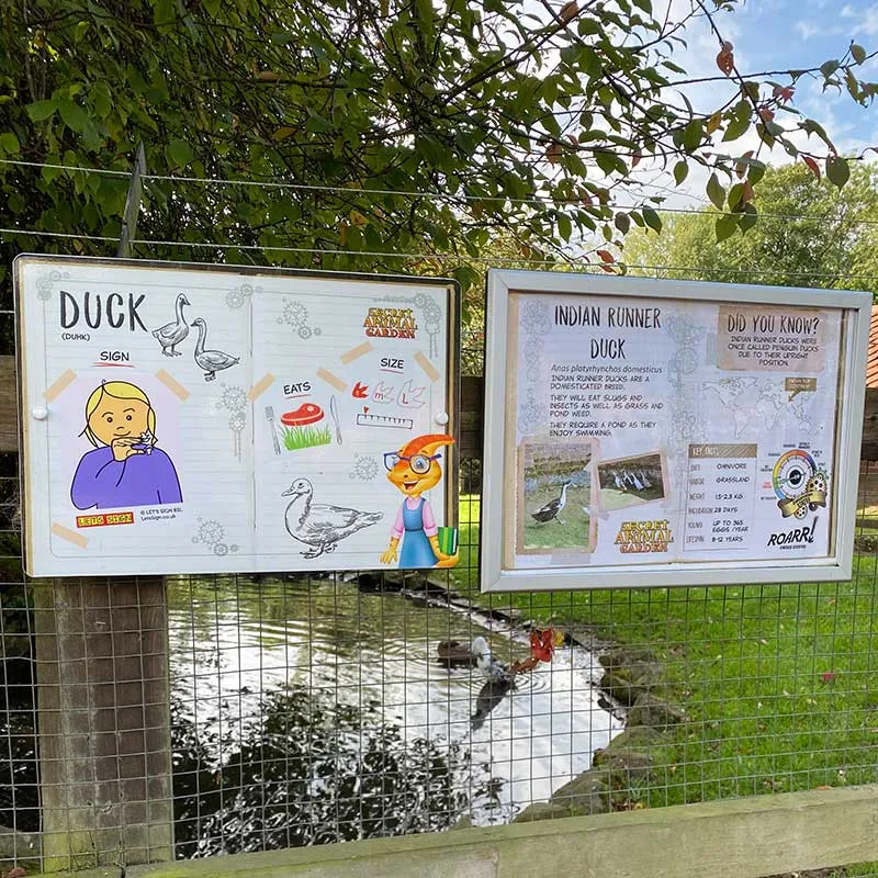 Makaton sign language support at ROARR!