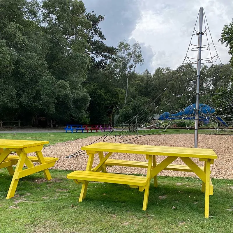 Accessible wheelchair seating at ROARR!