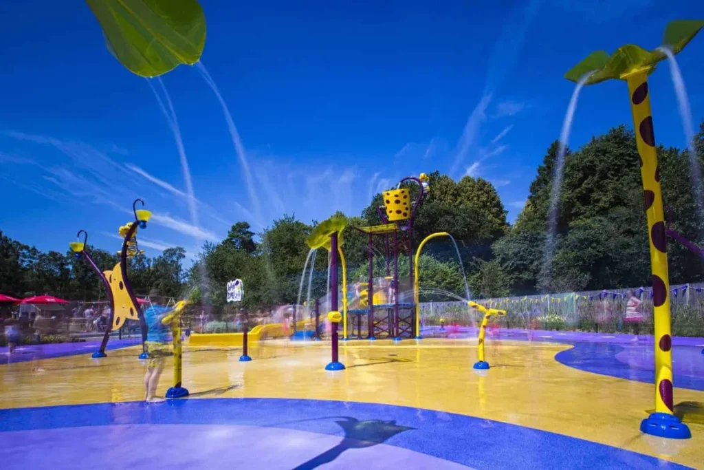 Dippy's Splash Zone at ROARR!