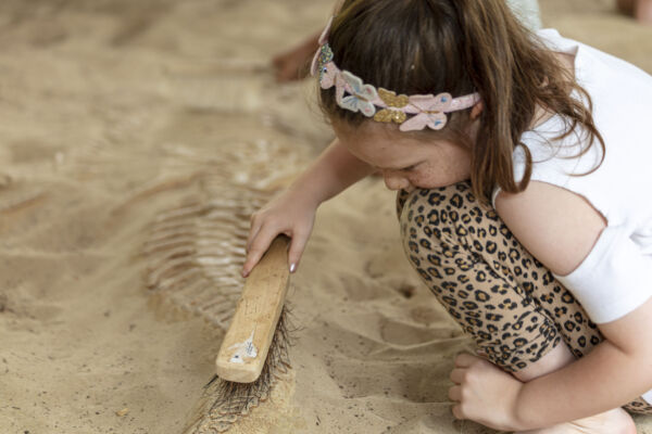 X-Tinction fossil dig